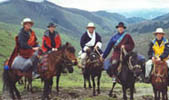 Horse Trek