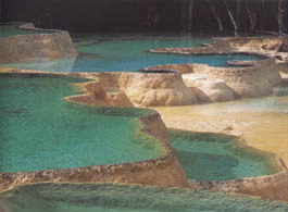 Flower washing ponds